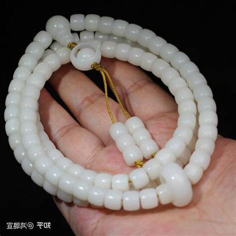 白菩提
