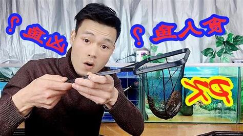 很兇的魚