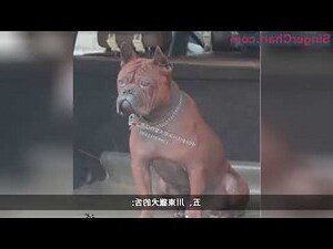 川東獵犬