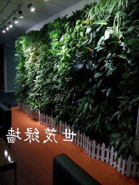 外牆植物處理