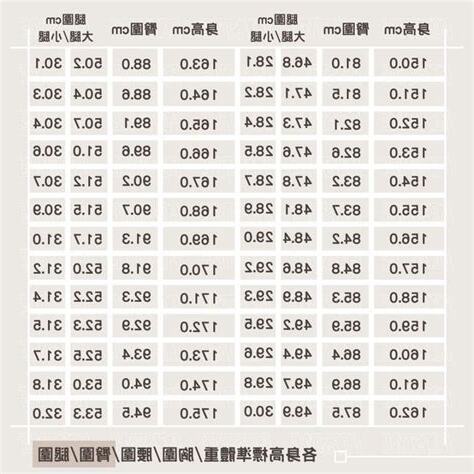 臀圍標準女