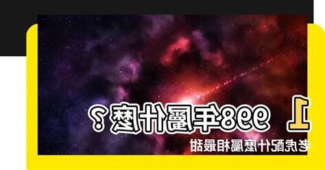 1998屬什麼