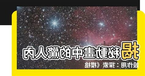 內設作用