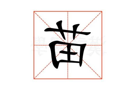 苗意思