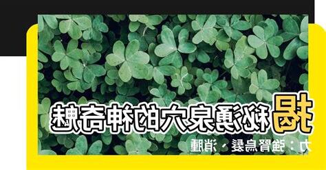擁泉穴位置