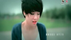 龙梅子