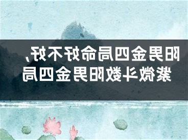 金四局男