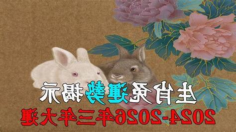 2024兔運勢