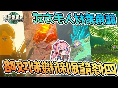 四條龍