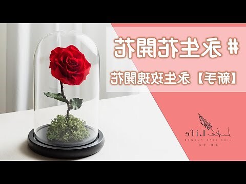 家裡可以擺永生花嗎