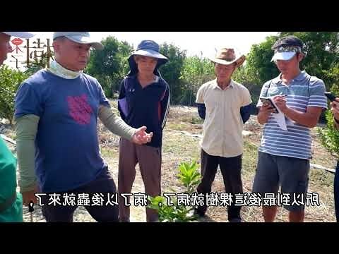 樹木的功用