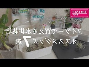 種菜容器