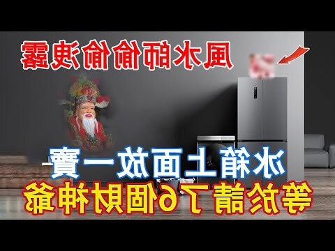 冰箱上放貔貅