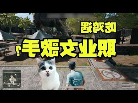 吃雞名字女