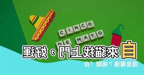 自來貓好運
