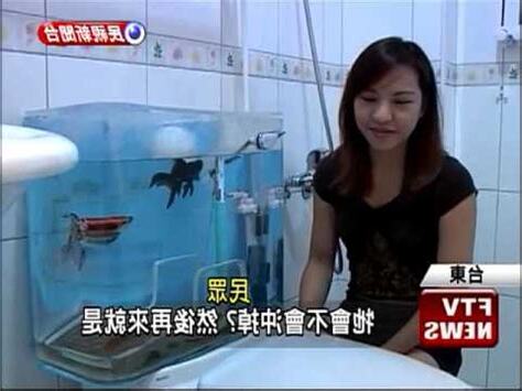 廁所養魚