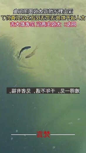 陰陽魚正確太極圖