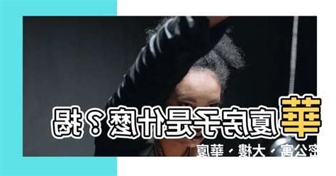 華夏房子意思
