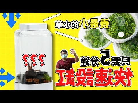 辦公室養貓風水