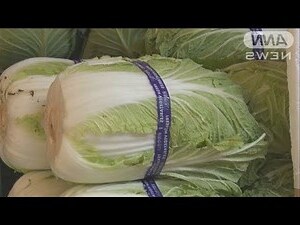 白菜玉