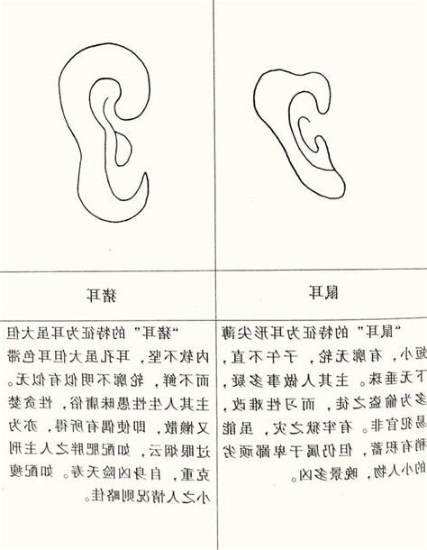 耳朵占卜