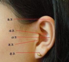 耳輪上有痣