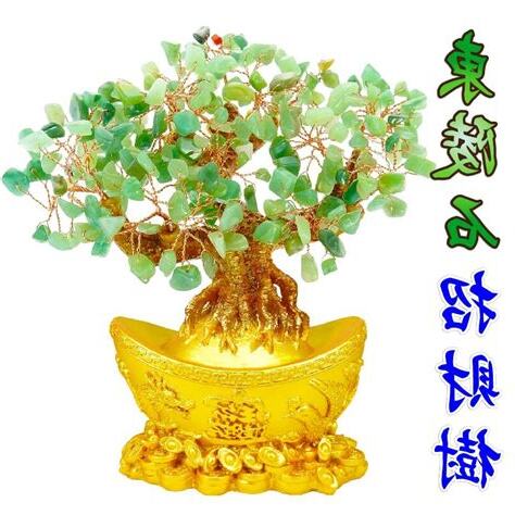 招財樹開花
