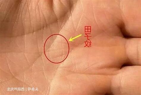 田字紋掌心