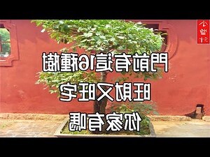 門前種樹風水