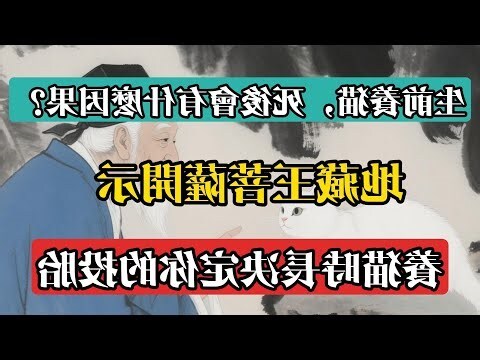 貓死後會去哪裡