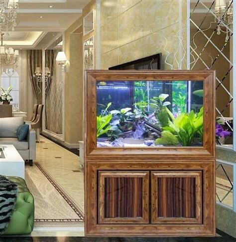 魚缸適合的位置
