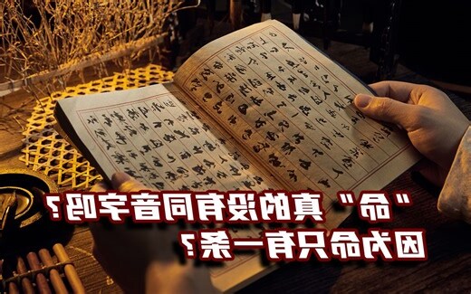 命同音字