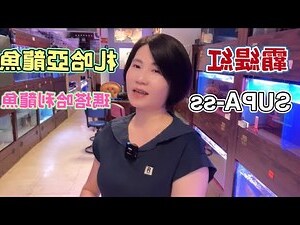 龍魚風水