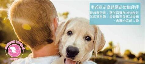 狗狗過世禁忌