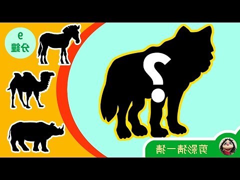 老虎適合的字