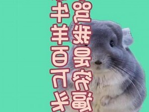 我家牛羊百万头,同学骂我是穷逼