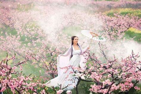 桃花年意思