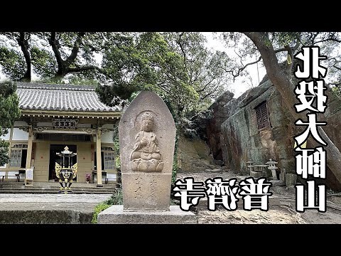 供奉觀音的花