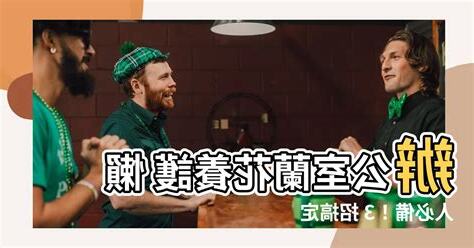 辦公室蘭花照顧