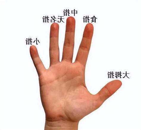 無名指為什麼叫無名指