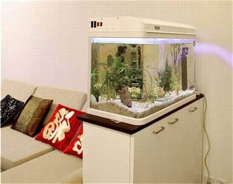 房間魚缸