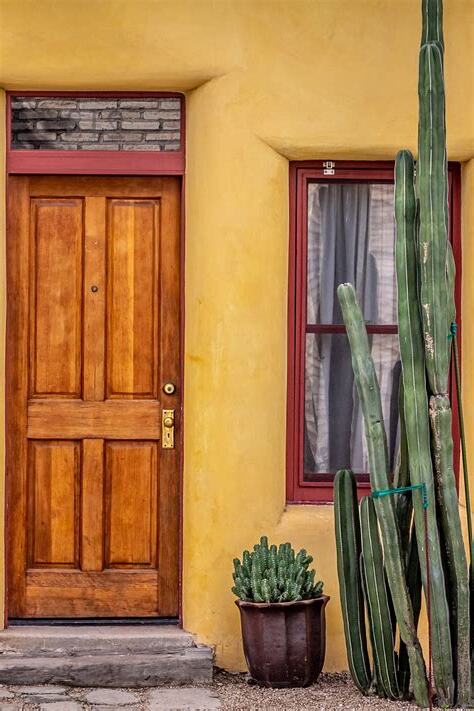 仙人掌風水門口