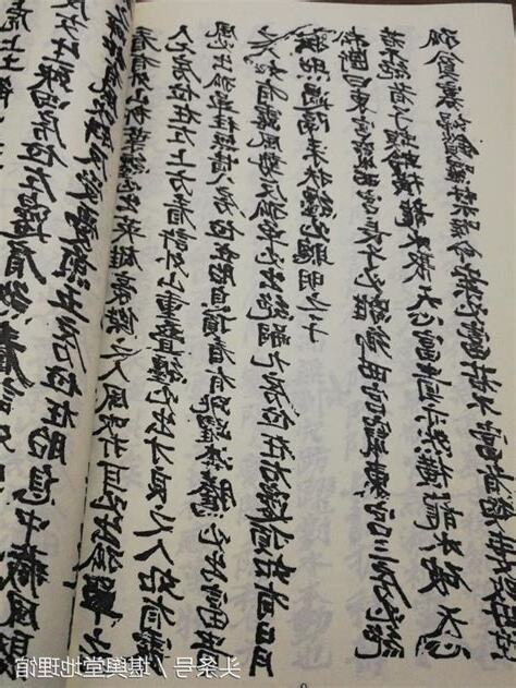 楊公仙師