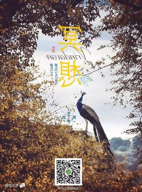 有關係嗎