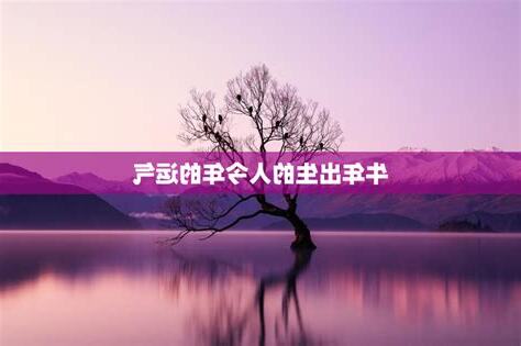 牛年出生的人