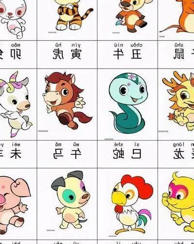 82属什么