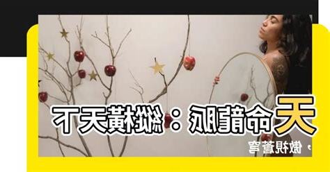 天命龍脈