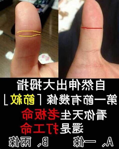 大拇指第一節有幾條