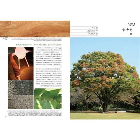 樹木用途