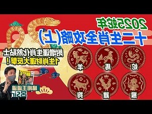生肖六沖